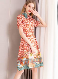 Color-blocked Lapel Waist Printed Dress