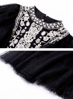 Stylish Embroidered Mesh Splicing Black Two-piece Dress