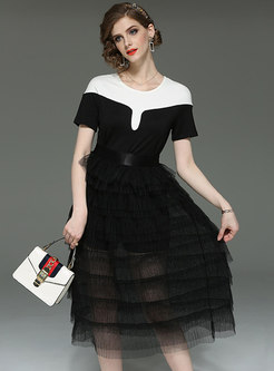 Color-blocked Splicing Top & Mesh Perspective Skirt