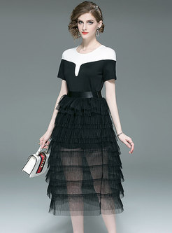 Color-blocked Splicing Top & Mesh Perspective Skirt