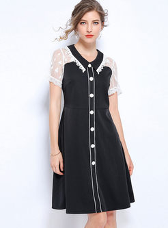Sweet Doll Collar Lace Short Sleeve Dress