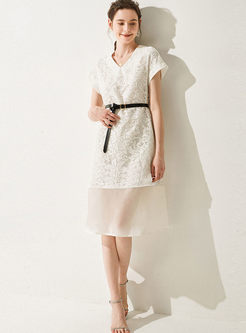 Brief White V-neck Short Sleeve Waist Dress