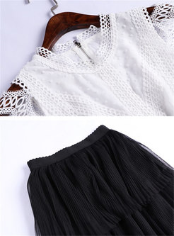 Stand Collar Sleeveless Top & Mesh Cake Skirt