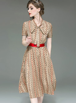 Polka Dot Tie-collar Belted A Line Dress