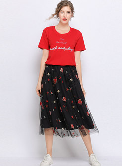 Chic Mesh Embroidered A Line Skirt