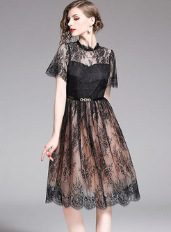 Sexy Lace Stand Collar See-through Slim Skater Dress