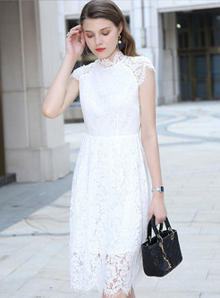 Elegant Lace Stand Collar Sleeveless Skater Dress