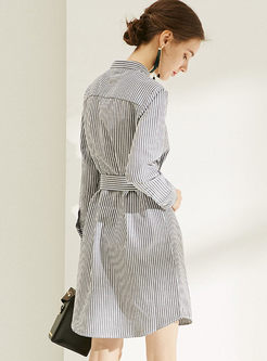 Casual Long Sleeve Striped Waist A Line Dress