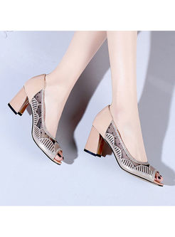 Fashion Mesh Perspective Splicing Leather Shoes