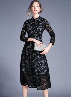 Brief Lace Stand Collar Slim A Line Dress
