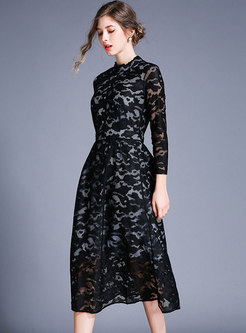 Brief Lace Stand Collar Slim A Line Dress