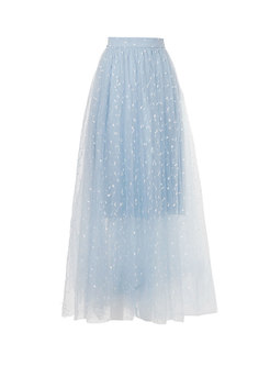 Stylish Mesh Embroidered High Waist Skirt