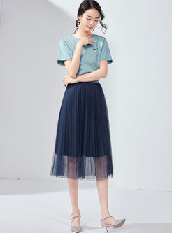 Fashion Elastic High Waist Mesh Pleated Skirt