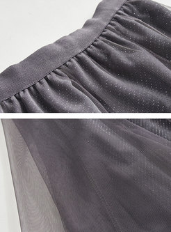 High Waist Mesh Pleated All-matched Skirt