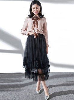 Stylish Mesh High Waist Black Slim Irregular Skirt