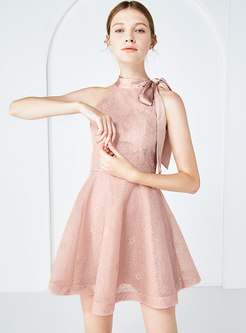 Chic Lace Tie-collar Sleeveless Slim Mini Dress