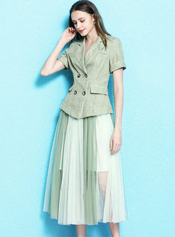 Stylish Notched Short Sleeve Blazer & Mesh Skirt