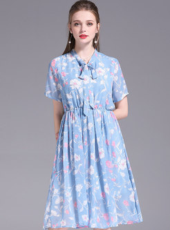 Brief Floral Print Tied Gathered Waist Pleated Dress