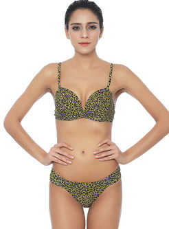 Chic Sexy Leopard Gathered Bikini