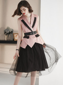 Striped Notched Asymmetric Blazer & Mesh Skirt