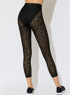 Sexy Leopard Lace Perspective Stand Collar Tracksuit