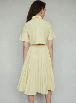 Stylish Lapel Embroidered Waist Pleated T-shirt Dress