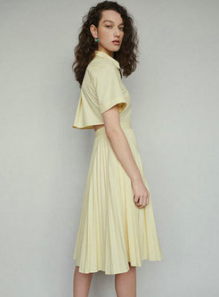 Stylish Lapel Embroidered Waist Pleated T-shirt Dress