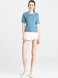 Brief Blue Polo Collar Comfortable Knitted Top 