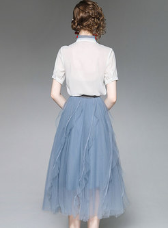 Chic See-though Blouse & Asymmetric Mesh Skirt