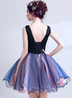 Lace Color Block Deep V Neck Backless Midi Dresses