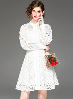 Hollow Out Embroidered Lantern Sleeve Skater Dress