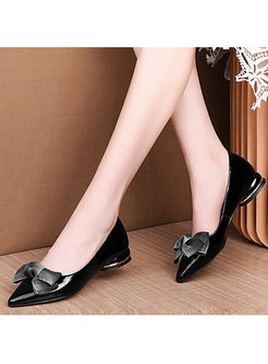 Fashion Pointed Head Bowknot Shoes