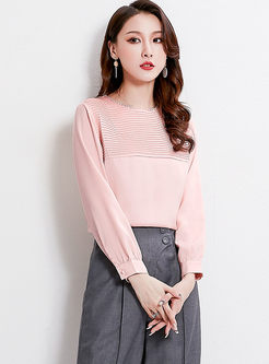 Brief Long Sleeve Pullover Blouse