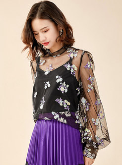 Chic Mesh Embroidered Lantern Sleeve Top 