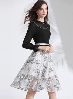 Brief Long Sleeve Lace Chiffon A Line Dress
