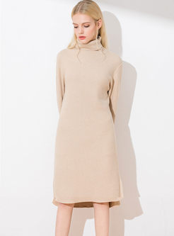 Turtleneck Long Sleeve Slim Sweater Dress