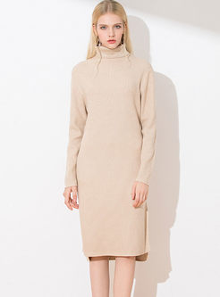 Turtleneck Long Sleeve Slim Sweater Dress