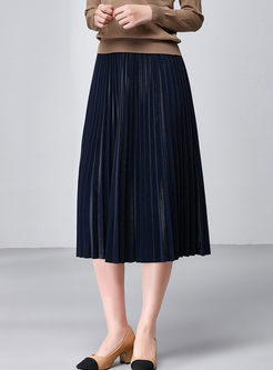 Elastic High Waisted Pleated Skirt