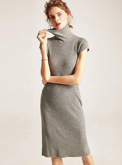 Turtleneck Short Sleeve Slim Sweater Dress