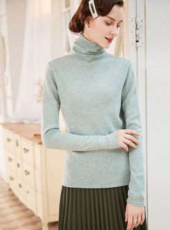 Brief Turtleneck Long Sleeve Slim Sweater