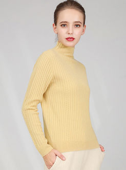 Brief Turtleneck Slim Pullover Sweater