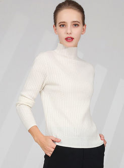 Brief Turtleneck Slim Pullover Sweater