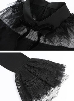 Black Transparent Lace Flare Sleeve Sweater