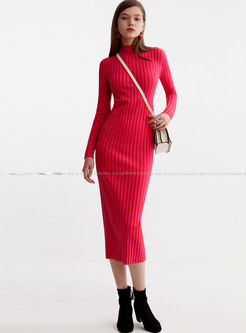 Stand Collar Bodycon Long Sweater Dress