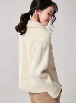 Solid Color Thick Straight Short Teddy Coat