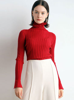 Turtleneck Pullover Slim Ribbed Sweater