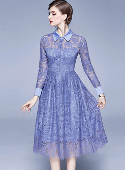 Long Sleeve Openwork A Line Lace Dress