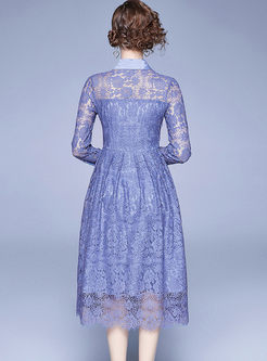 Long Sleeve Openwork A Line Lace Dress