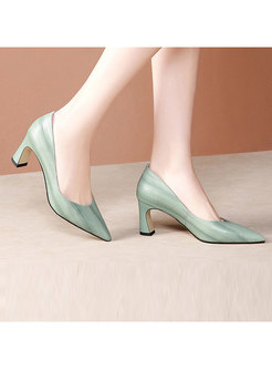 Pointed Head Thick Heel Pumps