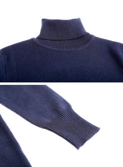 Turtleneck Long Sleeve Sweater Slim Dress